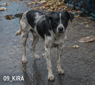 Kira