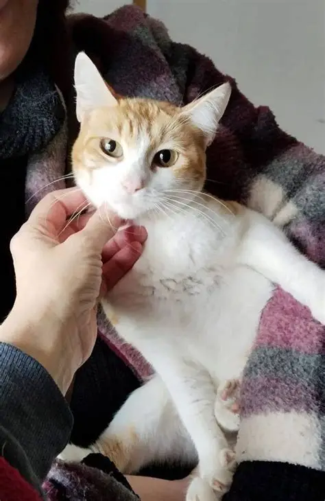 Frida
