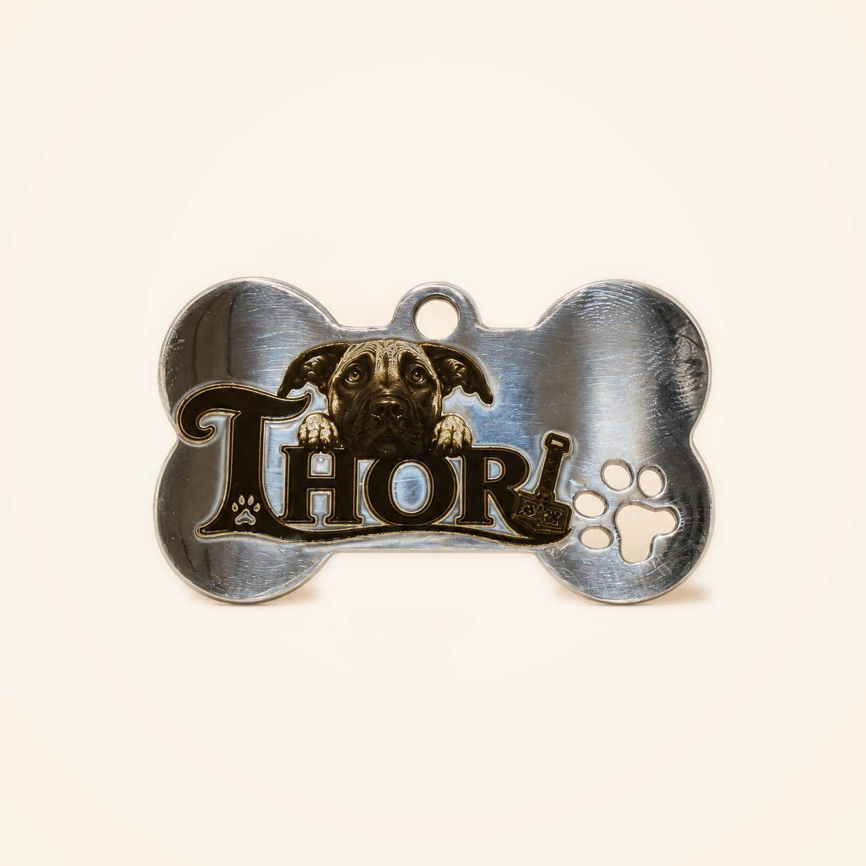 Plaquita Retrato personalizada para mascota con diseño de Thor en acero inoxidable plata