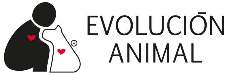 EVOLUCION ANIMAL